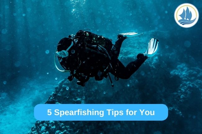 5 Spearfishing Tips for You